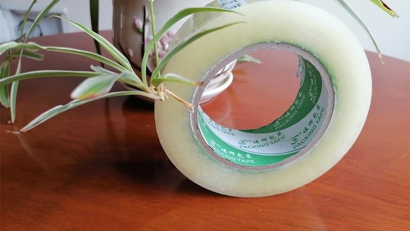 正确选择宅男666网站供应商，为您节约15%包装成本