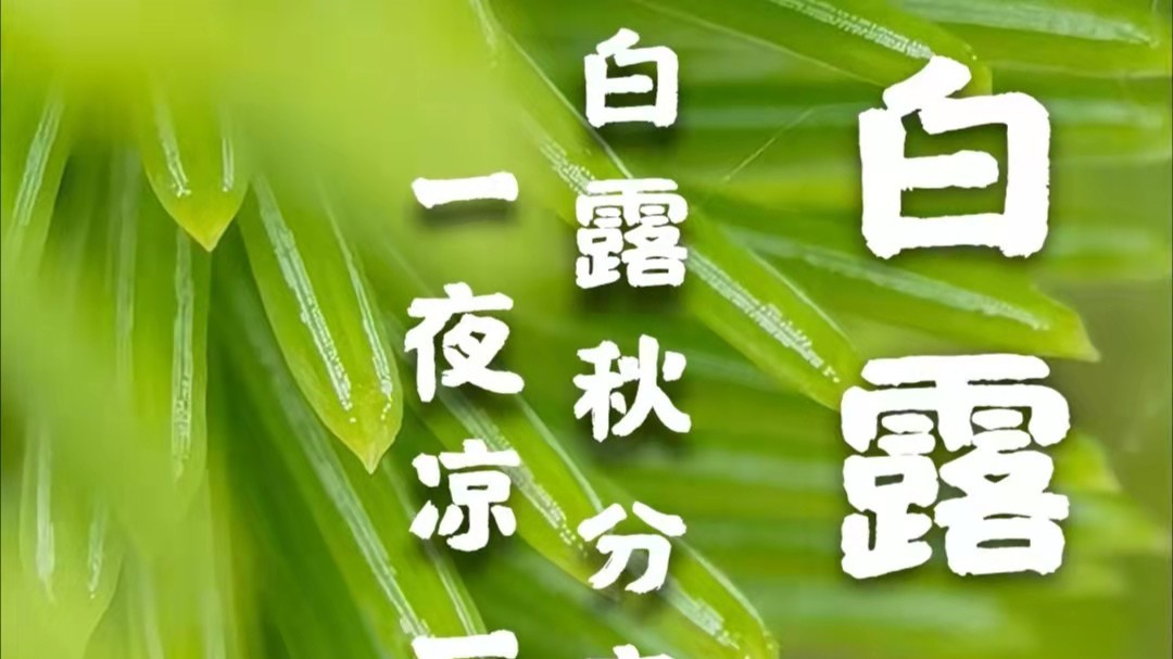 宅男免费看污视频网站包装宅男666网站厂家：白露到，秋渐深