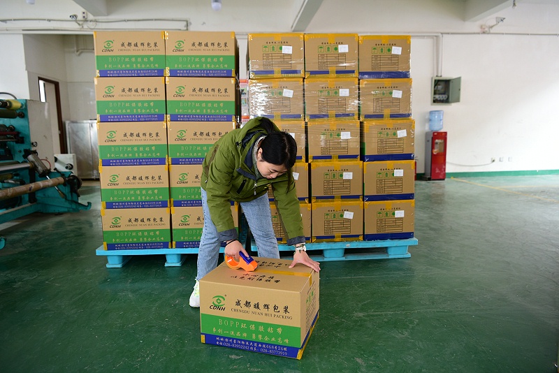 成都宅男666网站厂家